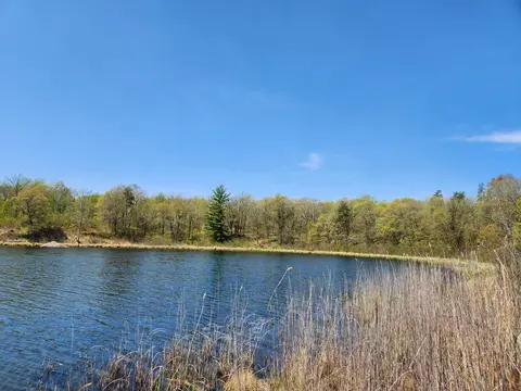 3693 Seclusion Dr NW, Powers Twp, MN 56435 photo 4
