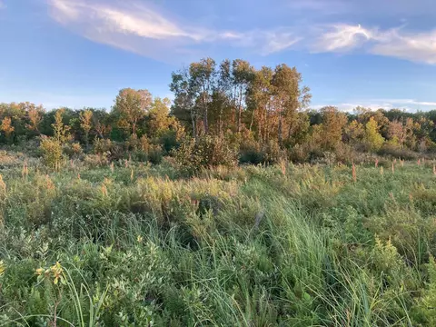 Nnnnn Merlin Road, Milaca, MN 56353