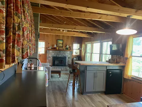 8633 NW Cedar Point Rd, Walker, MN 56484 photo 4
