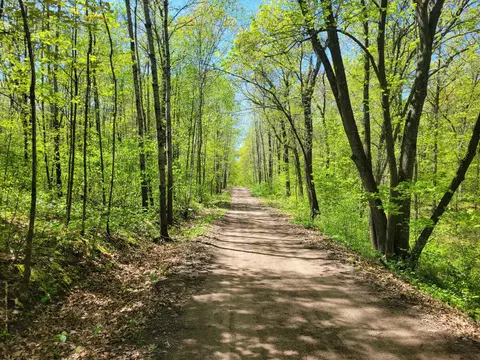 Tbd Leisure Lane, Maple Grove Twp, MN 56401