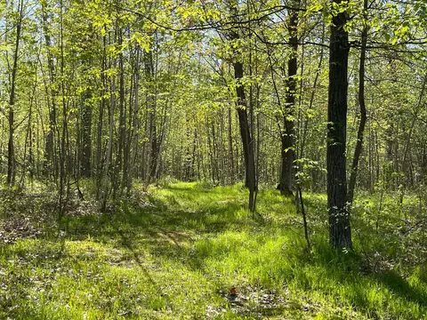 67427 Boundary Line Rd, Askov, MN 55704