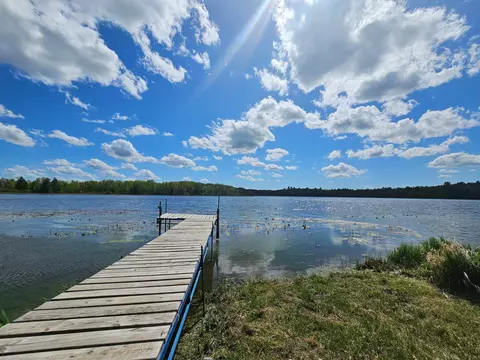 342 County 118 NW, Backus, MN 56435