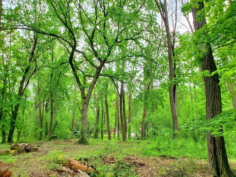 Nnn Lot 2 Chestnut, Marine On Saint Croix, MN 55047