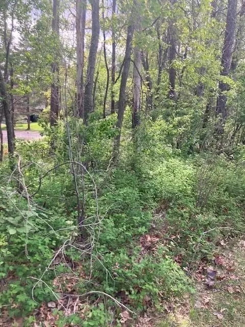 lot3 Pinewood Dr, Breezy Point, MN 56472