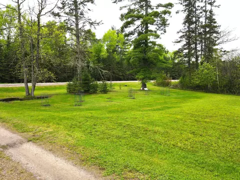 37016 Rice Rapids Rd, Bigfork, MN 56628 photo 36