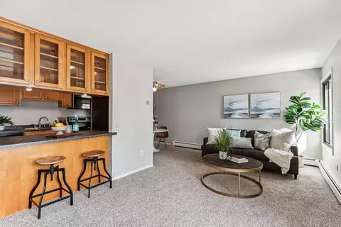 4110 Rahn Rd #208, Eagan, MN 55122