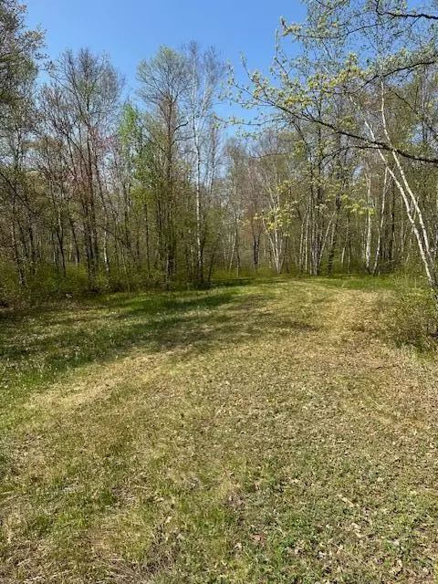 Tbd Shadow Point Road, Emily, MN 56447