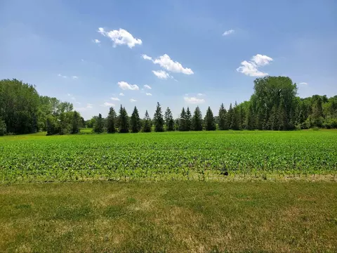 4709 15th Ave SE, Willmar, MN 56201 photo 5