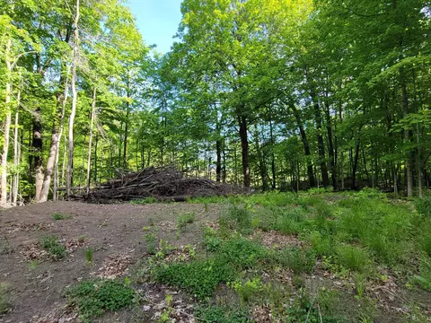 2086 Sorensons Rd, Mora, MN 55051 photo 7