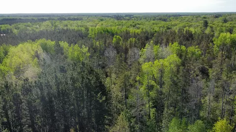 2572 County Rd 39, Rutledge, MN 55795 photo 30