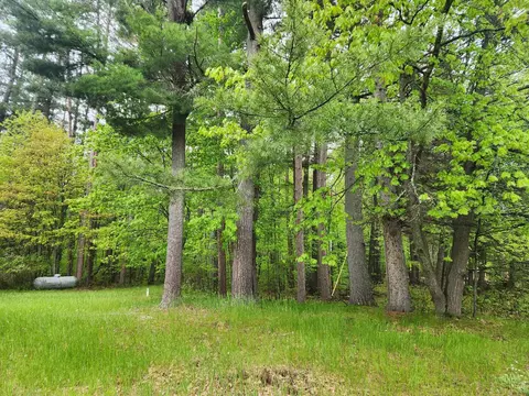 28216 Sunny Beach Rd, Grand Rapids, MN 55744