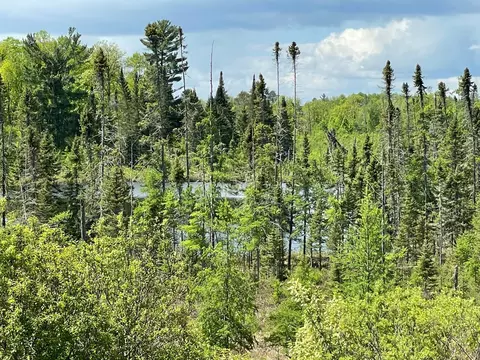 View/Area - 6281 24th Ave NW, Walker, MN 56484 photo 17 of 19