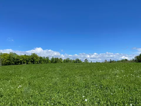 Other - 6281 24th Ave NW, Walker, MN 56484 photo 11 of 41
