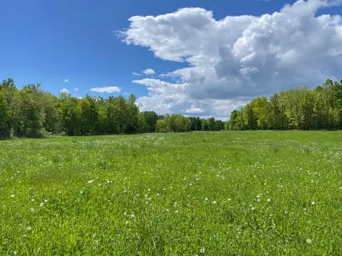 Other - 6281 24th Ave NW, Walker, MN 56484 photo 10 of 41