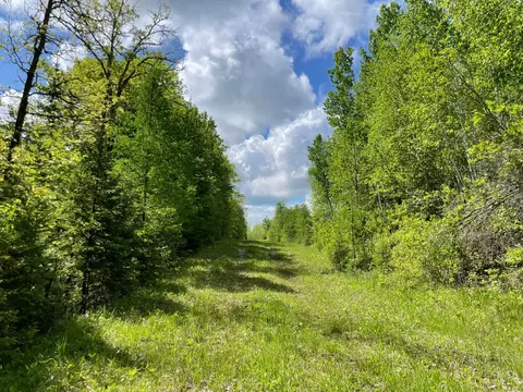 Other - 6281 24th Ave NW, Walker, MN 56484 photo 12 of 41