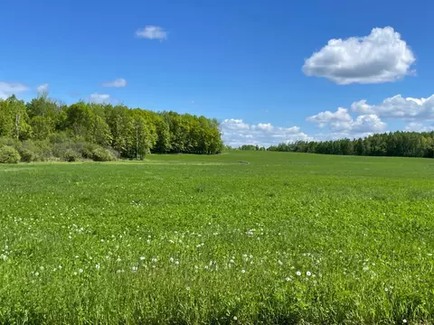 Other - 6281 24th Ave NW, Walker, MN 56484 photo 15 of 41