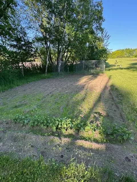 508 Main St, Dent, MN 56528 photo 17