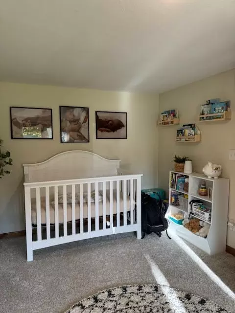 508 Main St, Dent, MN 56528 photo 32