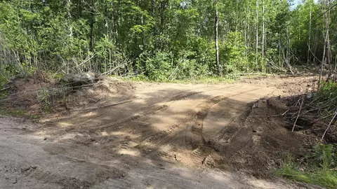2825 Niles Bay Forest Rd, Buyck, MN 55771