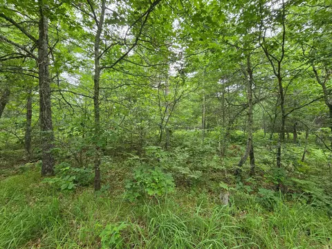 lot8 Saylors Ln, Siren, WI 54872