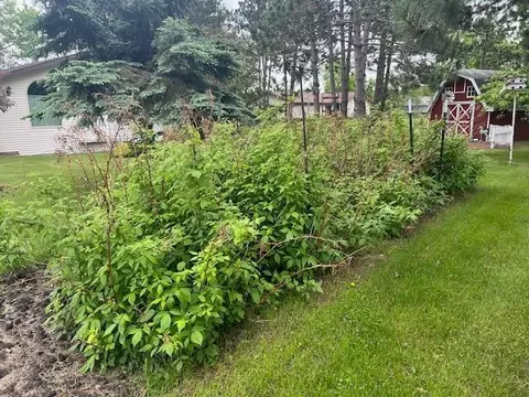 Exterior - 613 Pine Cone Dr, Perham, MN 56573 photo 11 of 24