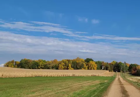 111 Nn County Rd 152, Cologne, MN 55322