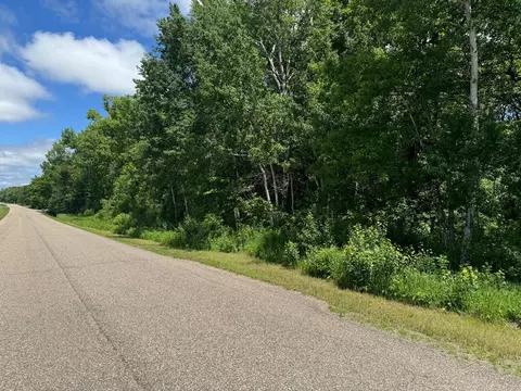 Nnn Springbrook Drive, Swanville, MN 56382