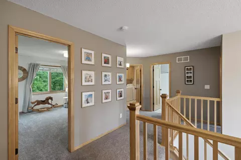 10929 Woodland Dr N, Champlin, MN 55316 photo 20