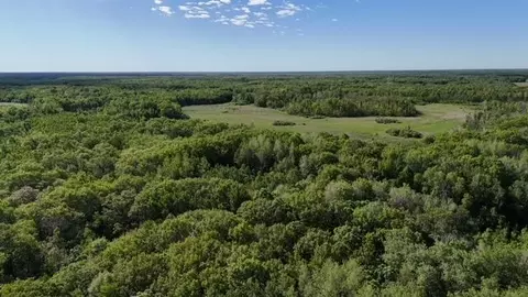 Tbd 415th Avenue, Hillman, MN 56338