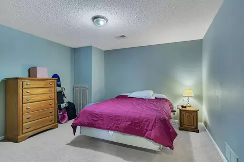 180 Mallard Ln, Loretto, MN 55357 photo 39