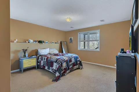 180 Mallard Ln, Loretto, MN 55357 photo 38