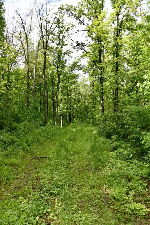 11882 320th St, Onamia, MN 56359 photo 15