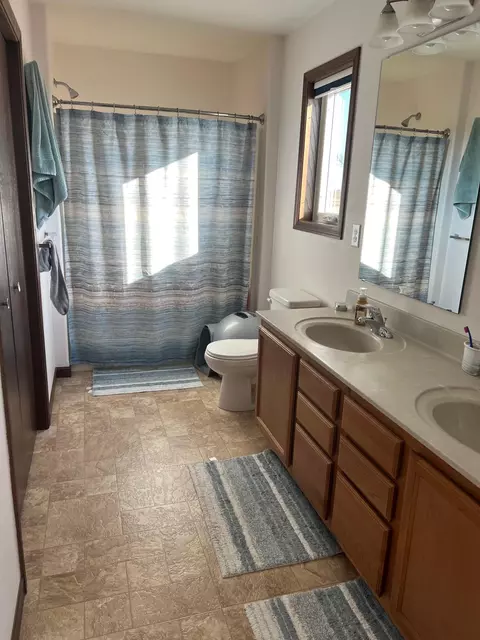 17854 457th Ave, Morris, MN 56267 photo 10