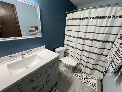 17854 457th Ave, Morris, MN 56267 photo 5