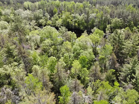 79596 River Run Rd, Willow River, MN 55795 photo 44