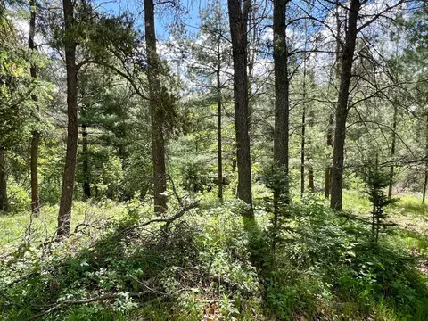 79596 River Run Rd, Willow River, MN 55795 photo 17