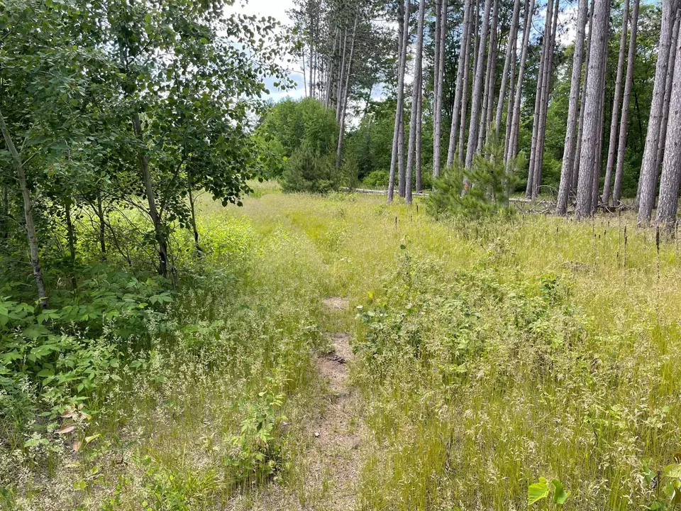  Nnn County Rd 145, Jenkins, MN 56472 photo 2