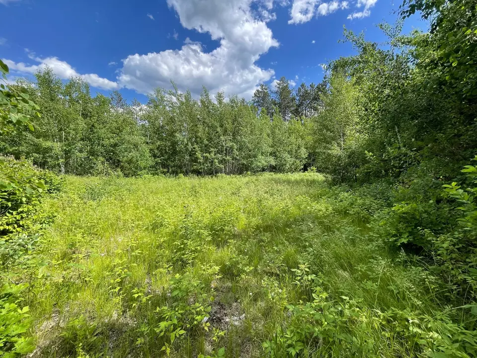  Nnn County Rd 145, Jenkins, MN 56472 photo 3