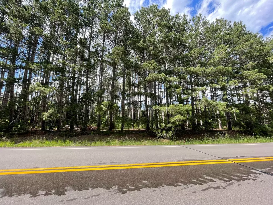  Nnn County Rd 145, Jenkins, MN 56472 photo 7