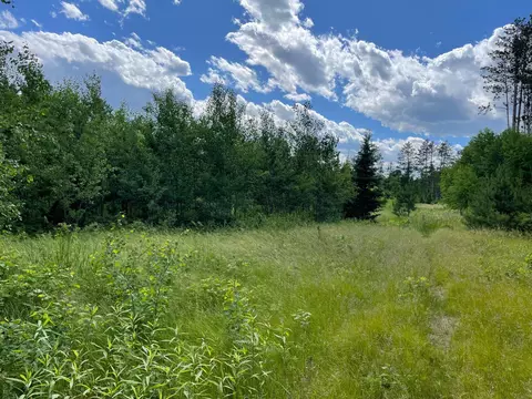 Nnn County Rd 145, Jenkins, MN 56472