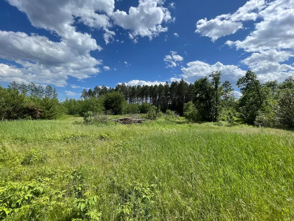  Nnn County Rd 145, Jenkins, MN 56472 photo 4