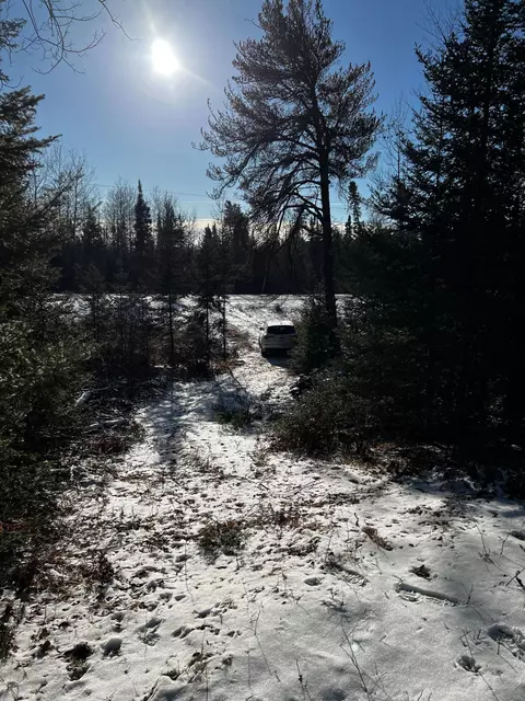6679 Wahlsten Rd, Tower, MN 55790 photo 6