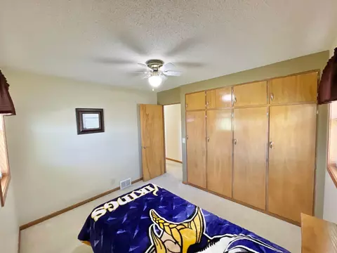 12 E Maple St, Springfield, MN 56087 photo 27