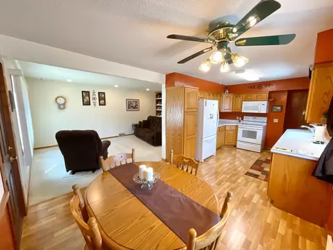 12 E Maple St, Springfield, MN 56087 photo 5