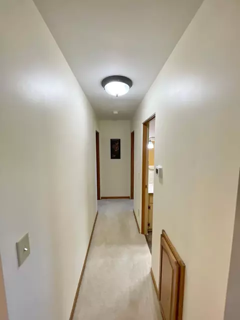 12 E Maple St, Springfield, MN 56087 photo 17