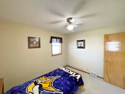 12 E Maple St, Springfield, MN 56087 photo 26