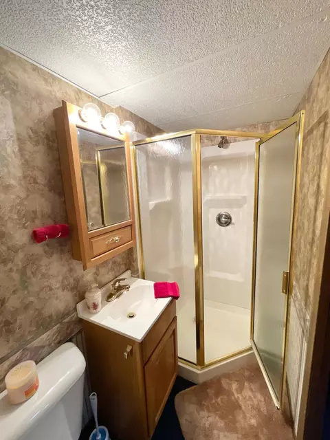 12 E Maple St, Springfield, MN 56087 photo 47