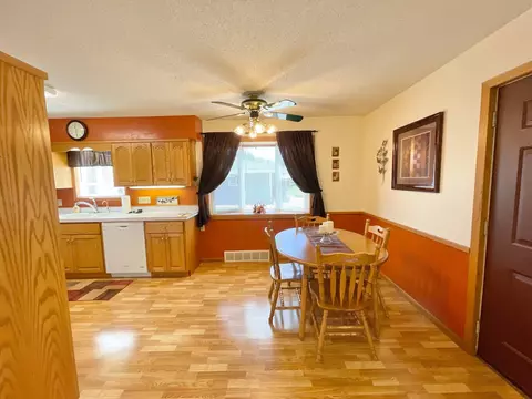12 E Maple St, Springfield, MN 56087 photo 6