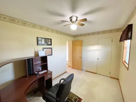 12 E Maple St, Springfield, MN 56087 photo 29