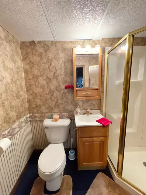 12 E Maple St, Springfield, MN 56087 photo 48